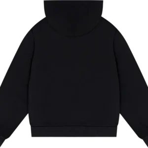 DT Metallic Gold Script Hoodie-1