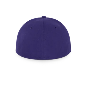 ADG New Era Hat Purple-1