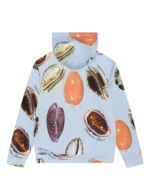 Shell Hoodie Blue-1